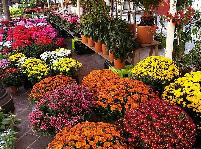 Apartamento Le Valmont Menton