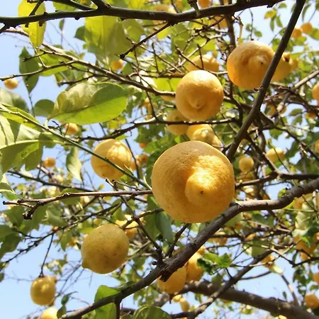 Le Valmont Appartement