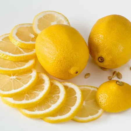 Lejlighed Le Valmont Menton
