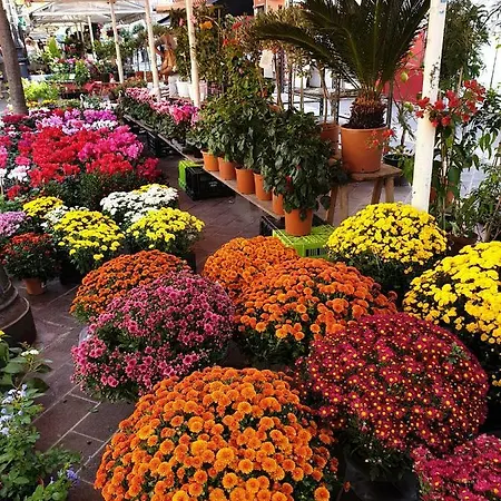 Appartement Le Valmont Menton