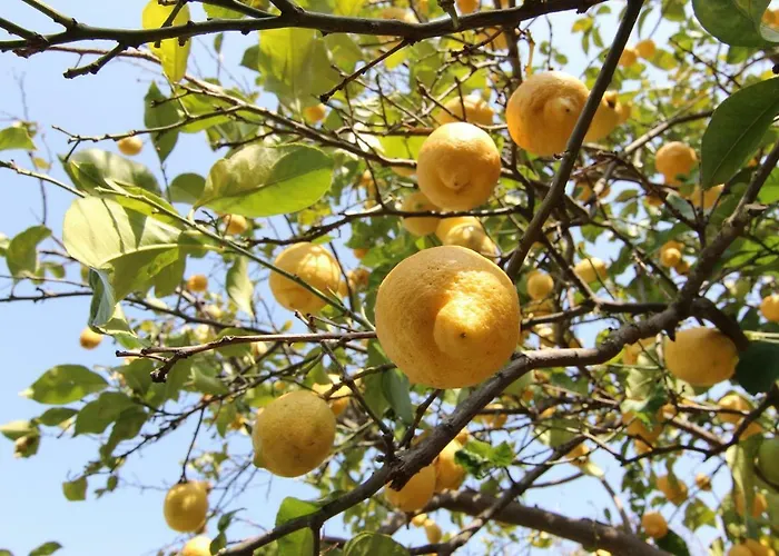 Le Valmont Apartamento